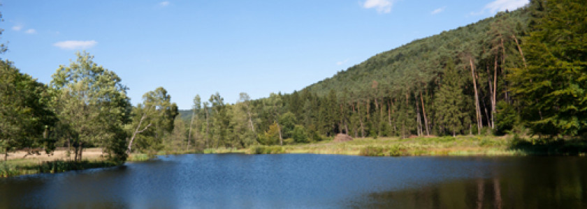 De natuurpracht van de meren en rivieren in de Vogezen