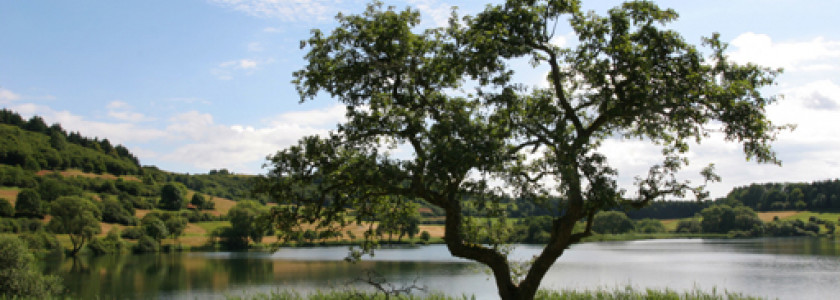 Een actieve vakantie in de groene Eifel