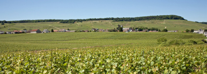 Een weekendje in de Champagnestreek