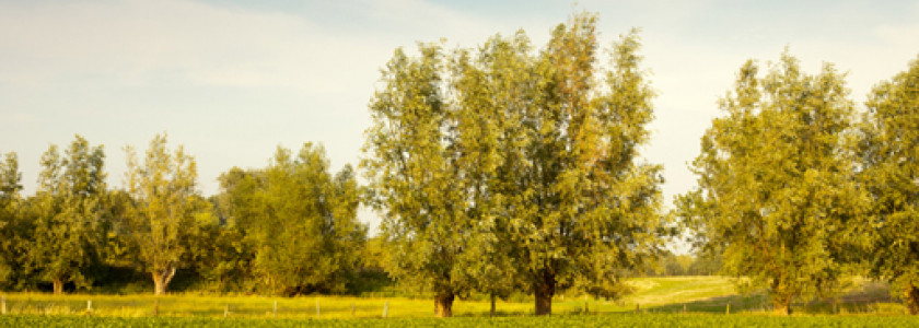 Hoogtepunten van de verrassende Vlaamse Ardennen