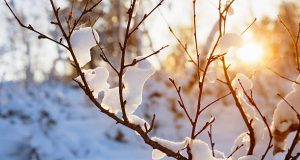 3 bestemmingen waar je in de winter van de zon kunt genieten