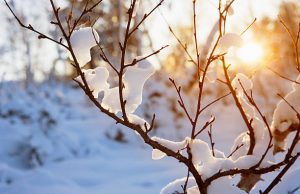 3 bestemmingen waar je in de winter van de zon kunt genieten