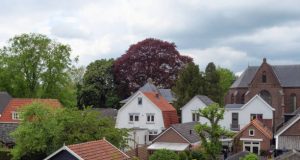 Zomer 2020: top 8 vakantiebestemmingen in Nederland