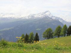 Bergwandelen, een actieve vakantie