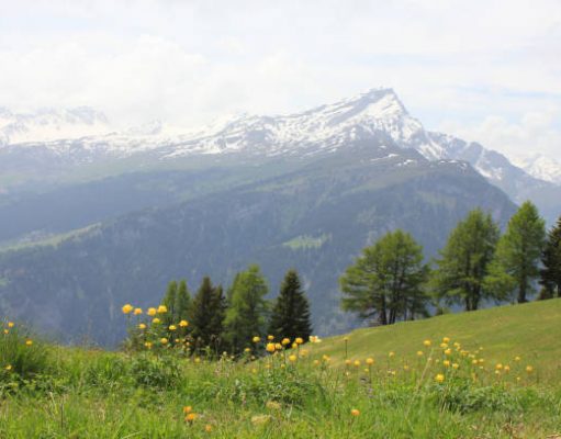 Bergwandelen, een actieve vakantie