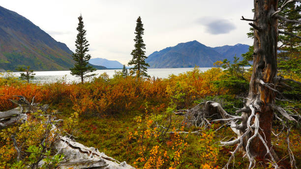 Reizen naar de ongerepte wildernis van Alaska