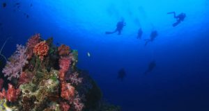 Top 12 beste duikspots ter wereld