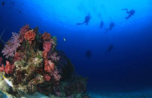 Top 12 beste duikspots ter wereld