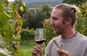 Wijn proeven in de Moezelstreek