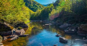 De natuurpracht van de meren en rivieren in de Vogezen