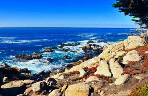 5 tips om goedkoop door Californië te reizen