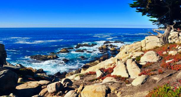 5 tips om goedkoop door Californië te reizen