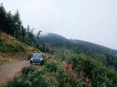 Met de auto naar het Zwarte Woud