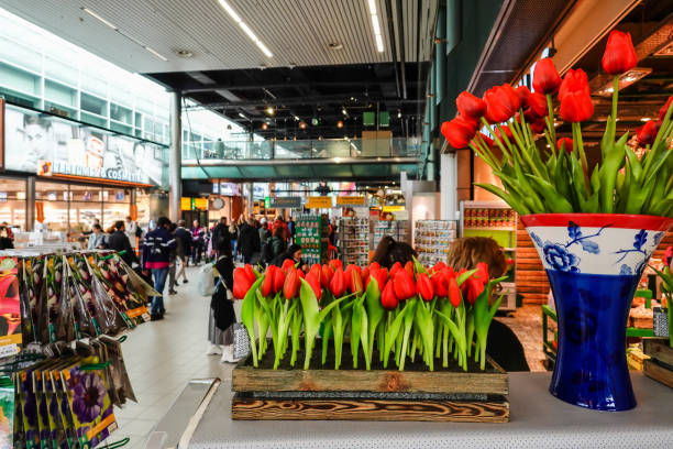 Top 10 beste binnenactiviteiten in Nederland en België