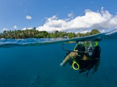 De leukste duikvakanties