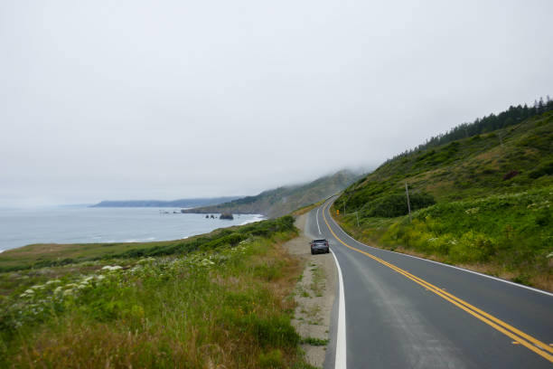Hoogtepunten van een roadtrip aan de Westkust van de VS