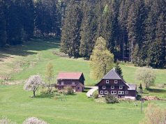 Een pracht van een vakantie in het Zwarte Woud