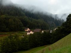 Genieten in het Zwarte Woud