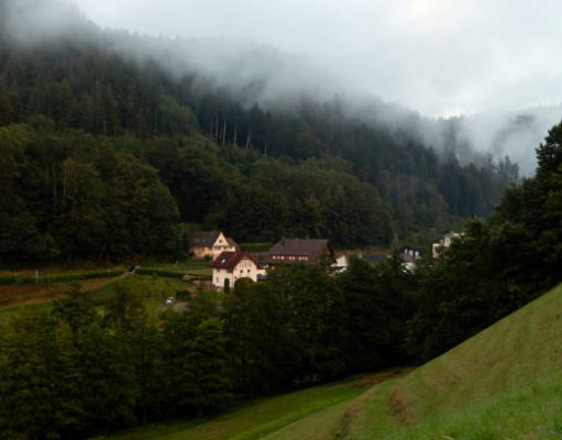 Genieten in het Zwarte Woud