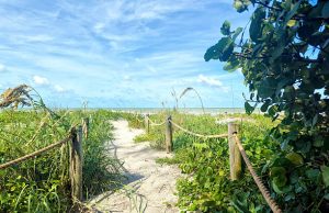 Met deze tips maak je een perfecte reis