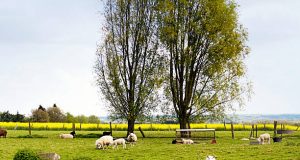 Hoevetoerisme in Vlaanderen