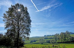 Eropuit in de groene Eifel