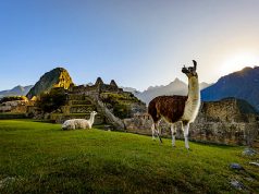 Op reis naar Peru, land van Inca’s en lama’s
