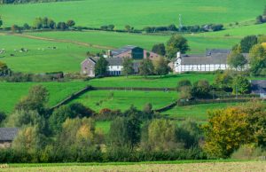 Een weekend in de ongerepte natuur van de Vlaamse Ardennen