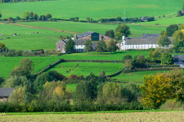 Logeren in een vakantiehuis in de Belgische Ardennen