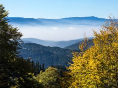 Mooiste stadjes in de Vogezen