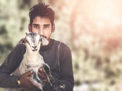 Ben jij een dierenvriend? Sla dit dan over op vakantie!