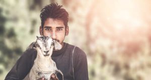 Ben jij een dierenvriend? Sla dit dan over op vakantie!