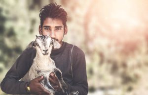 Ben jij een dierenvriend? Sla dit dan over op vakantie!