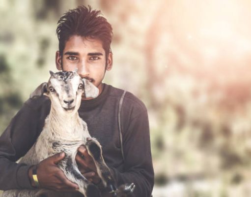 Ben jij een dierenvriend? Sla dit dan over op vakantie!