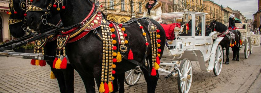 Maak jouw reis naar Krakau onvergetelijk!