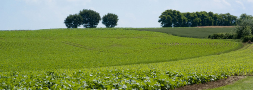 Mooiste bezienswaardigheden in de Vlaamse Ardennen