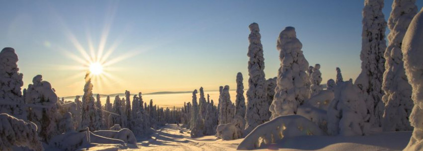 Vakantie Lapland: niet alleen in de winter!