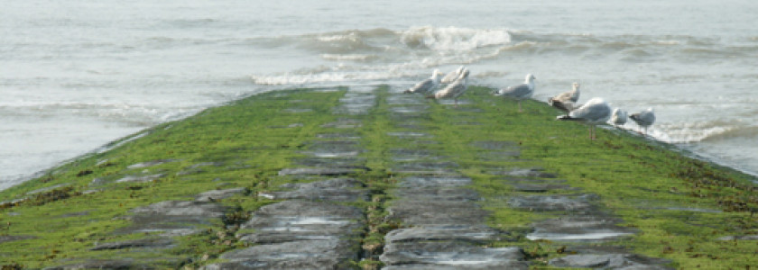 Wat te doen bij slecht weer aan de Belgische kust?